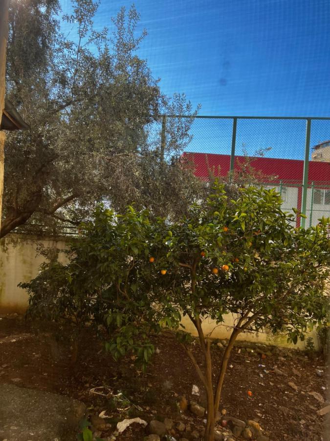 Amion Apartment In Center Of Tirana Buitenkant foto